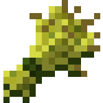 Wheat